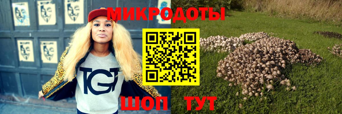 Галлюциногенные грибы Cubensis Вольск